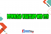 Download Whatsapp MOD 2018