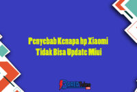 tidak dapat memperbarui miui